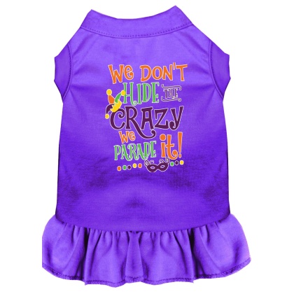 We Don't Hide the Crazy Screen Print Mardi Gras Dog Dress Purple 4X