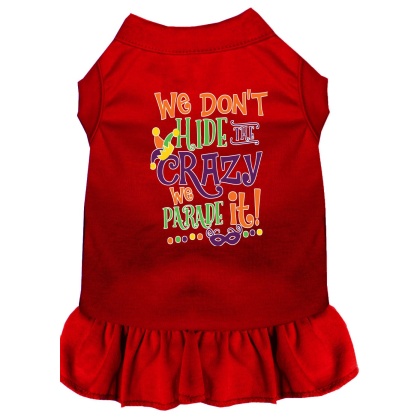 We Don't Hide the Crazy Screen Print Mardi Gras Dog Dress Red 4X