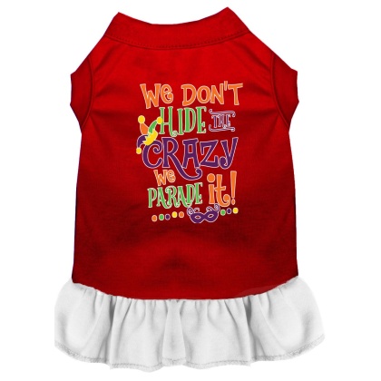 We Don't Hide the Crazy Screen Print Mardi Gras Dog Dress Red with White Lg