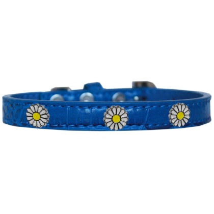 White Daisy Widget Croc Dog Collar Blue Size 10