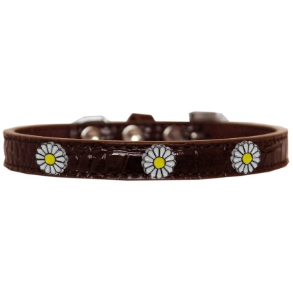 White Daisy Widget Croc Dog Collar Chocolate Size 10