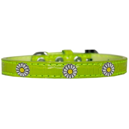 White Daisy Widget Croc Dog Collar Lime Green Size 10