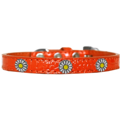 White Daisy Widget Croc Dog Collar Orange Size 10