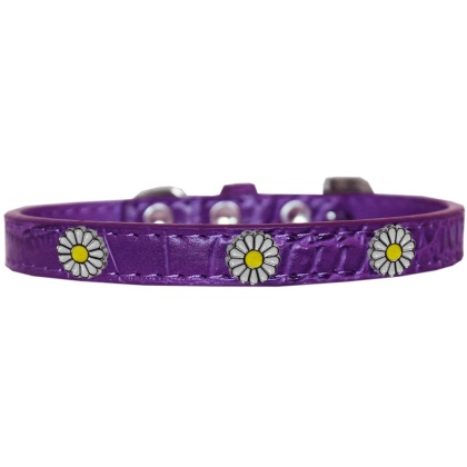 White Daisy Widget Croc Dog Collar Purple Size 10