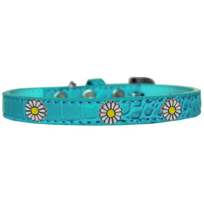 White Daisy Widget Croc Dog Collar Turquoise Size 10
