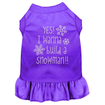 Yes! I want to Build a Snowman Rhinestone Dog Dress Purple 4X
