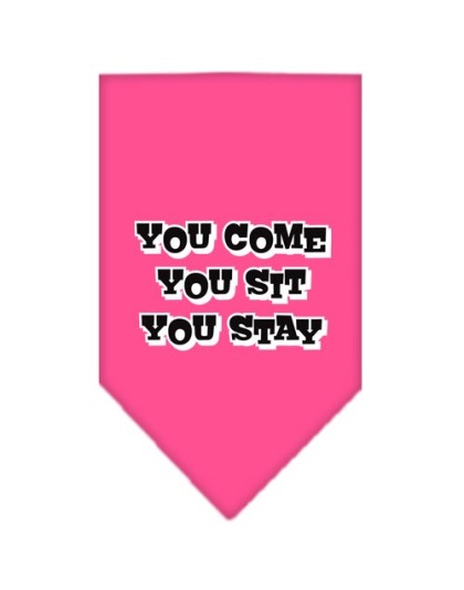 You Come, You Sit, You Stay Screen Print Bandana Bright Pink Large
