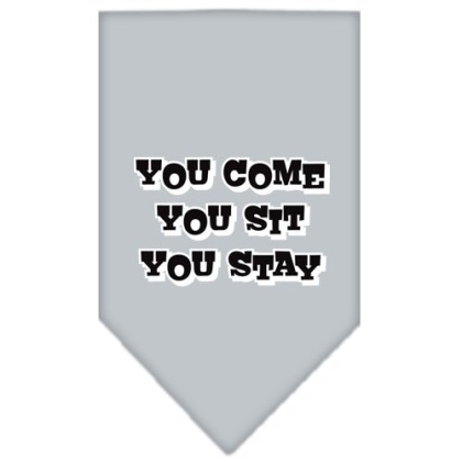 You Come, You Sit, You Stay Screen Print Bandana Grey Large