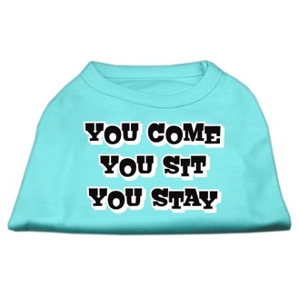 You Come, You Sit, You Stay Screen Print Shirts Aqua L