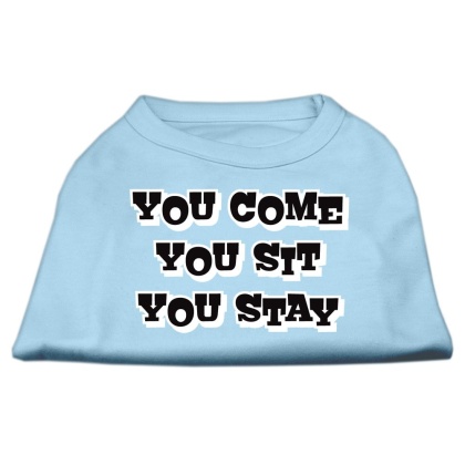 You Come, You Sit, You Stay Screen Print Shirts Baby Blue L