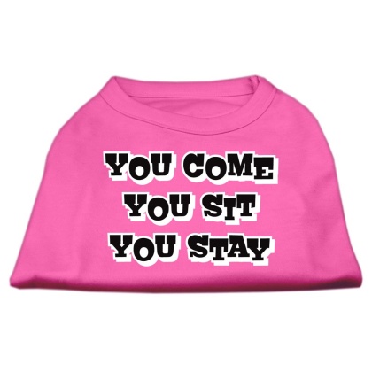 You Come, You Sit, You Stay Screen Print Shirts Bright Pink L