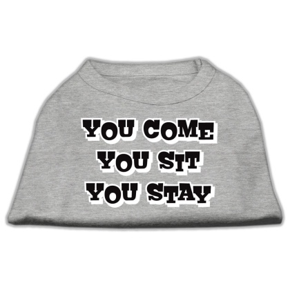You Come, You Sit, You Stay Screen Print Shirts Grey L