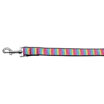 Zigzaggy Rainbow Nylon Ribbon Dog Collars 1 wide 4ft Leash